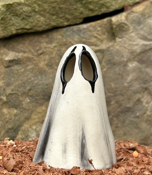Crow Ghost 👻