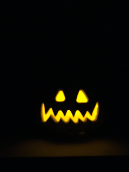 Munchkin Pumpkin Angry 🎃