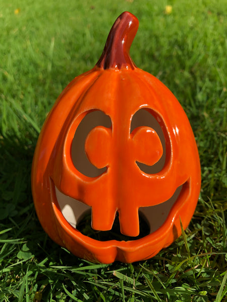 Robert Munchkin Pumpkin 🎃