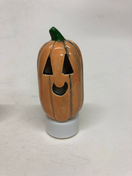 Mini Pumpkins