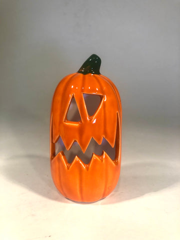 “Zig Zag” Mini Pumpkin 🎃