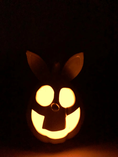 Bunny Munchkin V2 Pumpkin 🐰